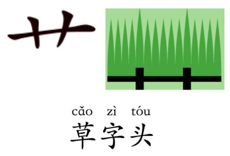 草字頭好字|部首為草字頭的國字一覽,按字典偏旁艹查字,共2166個字